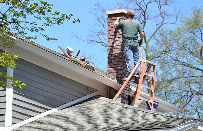 Chimney & Fireplace Inspections Services in Chattanooga, TN